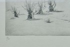 Bild 3 von 5
