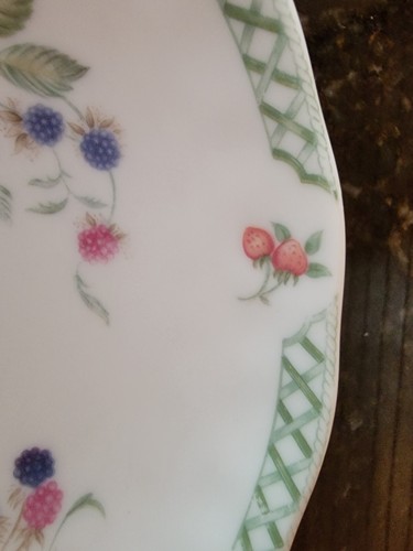 Royal Doulton Victorian Garden Fluted Edge Soup/ Cereal Bowls Set of 5 ,TC1176 - Picture 8 of 12