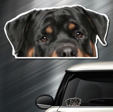  1 Rottweiler DOG Peeper Sticker Window Peep Decal Car Auto AKC Puppy 3.5x6.75
