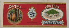 LABEL Big Tree Sweet Peas Can Austin Nichols New York