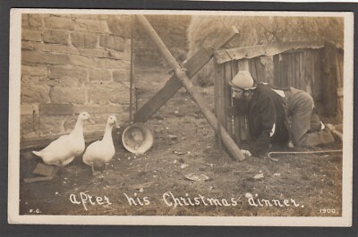 Postcard Comic tramp After His Christmas Dinner geese on farm farming early RP
