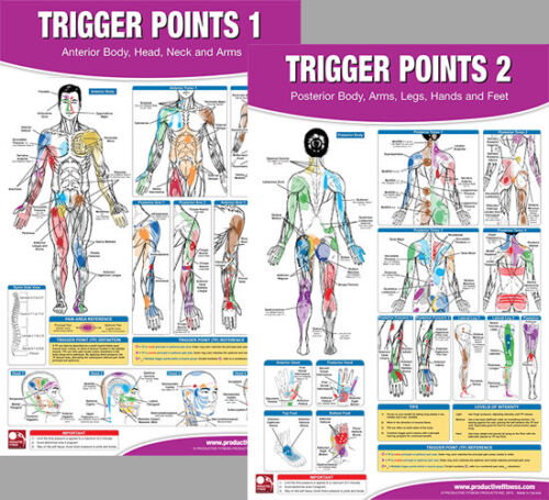 TRIGGER POINTS Professional Fitness Physiotherapy Wall Charts 2 24x36 POSTER SET - Picture 1 of 1