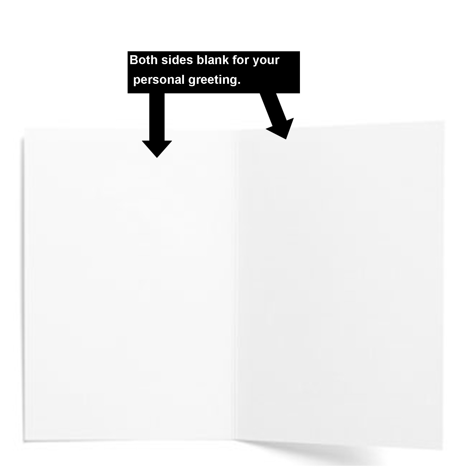 Taco The Town Greeting Card, 4.25" x 5.5", A2 Size, Blank Inside