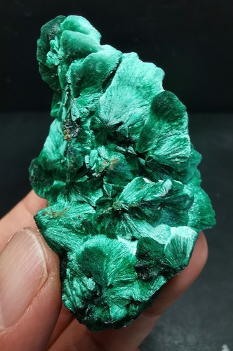 88 g Nuevo Encontrar Natural Hermoso Verde Malaquita Racimo Espécimen Anhui - Imagen 4 de 11