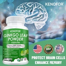 Ginkgo Leaf Powder Capsules Premium Green Superfood 1200mg Per Serving