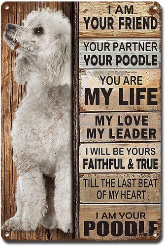 Metal Sign Tin Sign Vintage Wall Art I Am Your Friend Gift for Greyhound Lovers - Picture 91 of 135