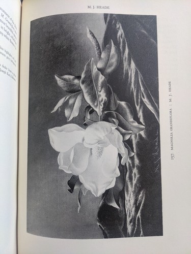 1949 M. UND M. KAROLIK SAMMLUNG AMERIKANISCHER GEMÄLDE 1815-1865 - SIGNIERTE KOPIE - Bild 11 von 16