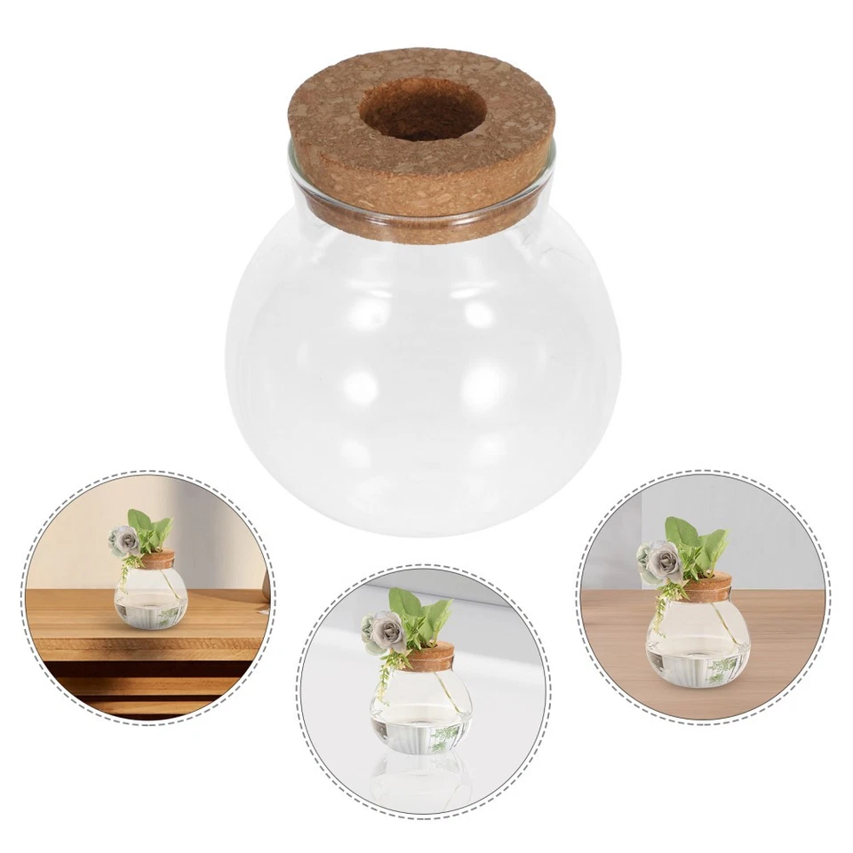  2pcs Glass Hydroponic Planters: Desktop Propagation Station For Indoor Plants -