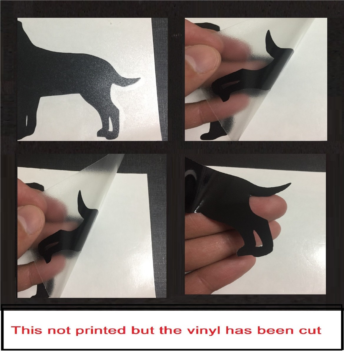 Small-Huge KAWASAKI ZX-6R motorbike bike logo decals Vinyl Sticker