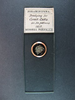 Antique microscope slide by Russell. Foraminifera. Dredging for Greek Cable.1872