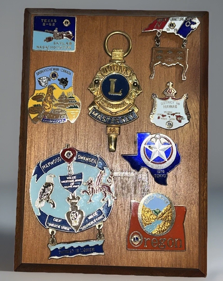Lions Club Pin for sale | eBay