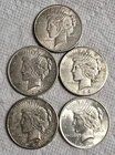 5 Peace Silver Dollars - Lot SK01