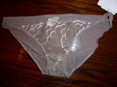 NWT CALVIN KLEIN SHIMMER SHEER w LACE BIKINI PANTIES F3624 SI1 TAUPE  S L