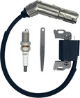 Ignition Coil Replacement for Briggs & Stratton 10.5HP 595304 799650 592841