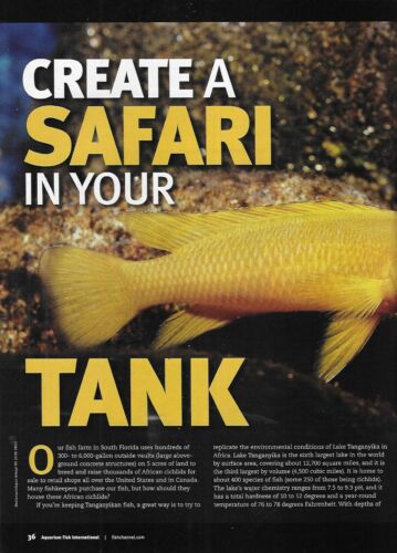 Aquarium Fish International Magazine Julies Parent Rift Lake Guard Crabs 2012 . - Picture 4 of 6