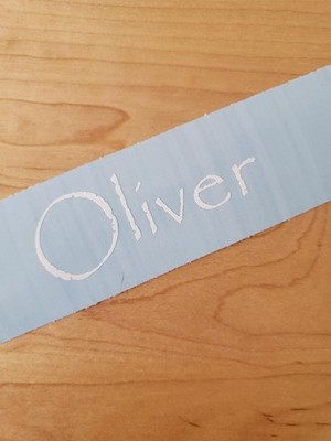 Oliver pet name Sticker Vinyl Decals 10'' (2) PAIR white - Dog Cat Pet Puppy FAST