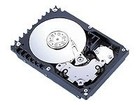 SAS Internal Hard Disk 10025 RPM Rotation Speed 146 GB Storage Capacity Drives