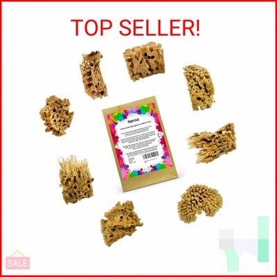 NAROA Artist Natural Sea Sponges for Painting 8 Pack | Unbleached Unique Art Too