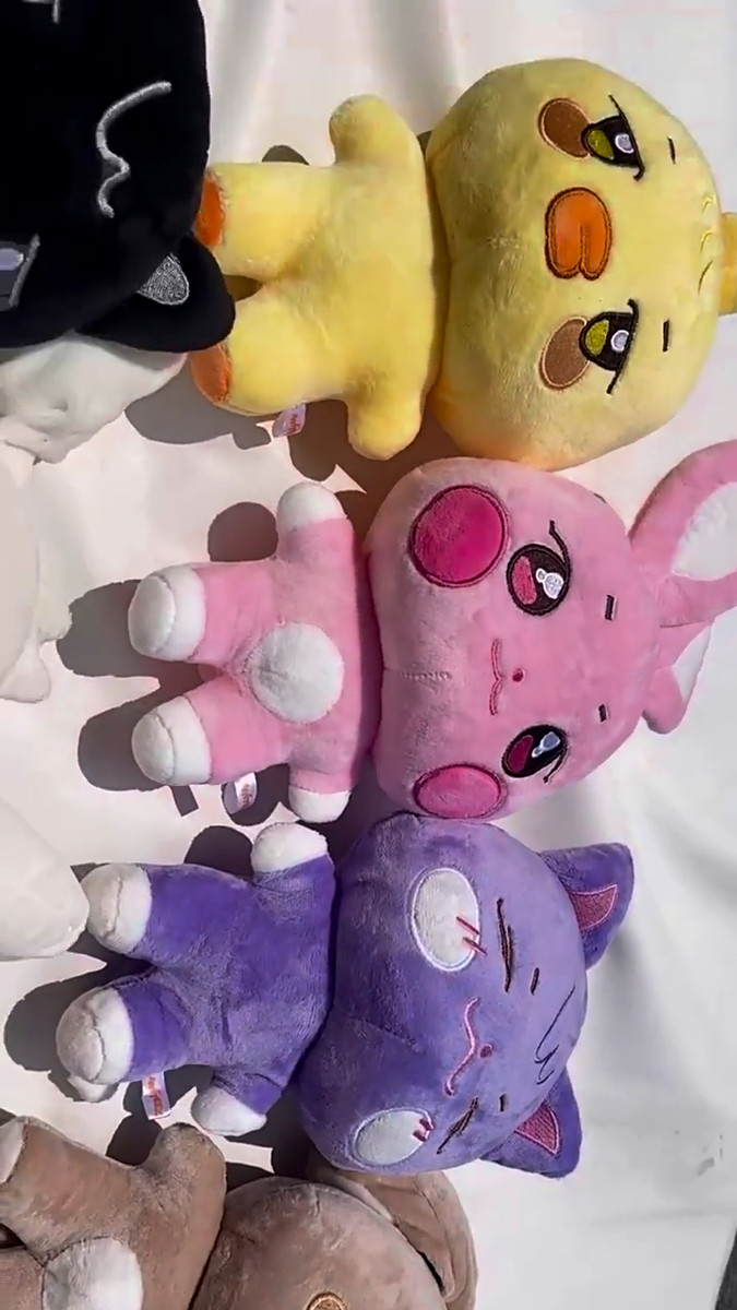 25cm ATEEZ ANITEEZ Pop Up Plush Doll SANdeoki DDEONGbyeoli Cartoon