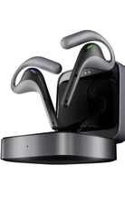 Timekettle W4 Pro AI Interpreter Earbuds(Grey),Translator Device Supporting