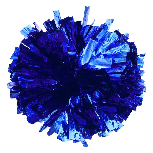 Kids 2 Pack Cheer Leader Shiny Pom Poms for Team Spirit Cheering Performance - 第 15/40 張圖片