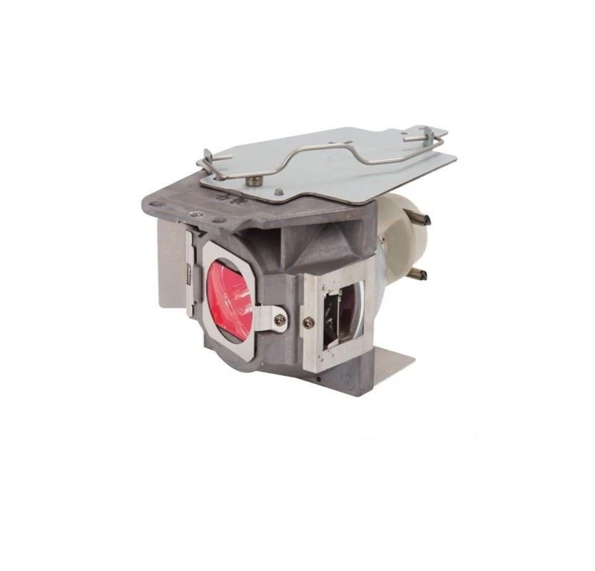 ViewSonic RLC-079 Projector Lamp