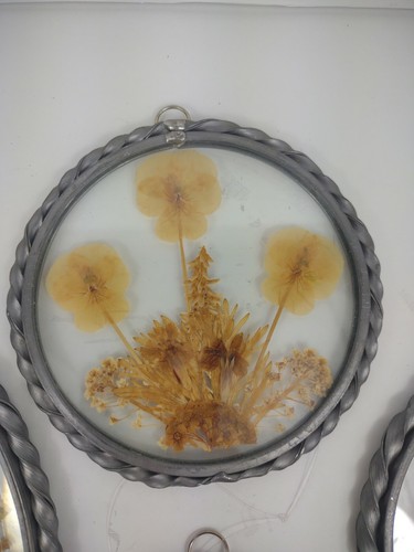 Pressed Flower Framed Wall Art Picture Ornament Suncatcher Lot Set Pewter USA - Picture 5 of 12