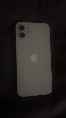 Apple iPhone 12 Mintgrün 64 GB