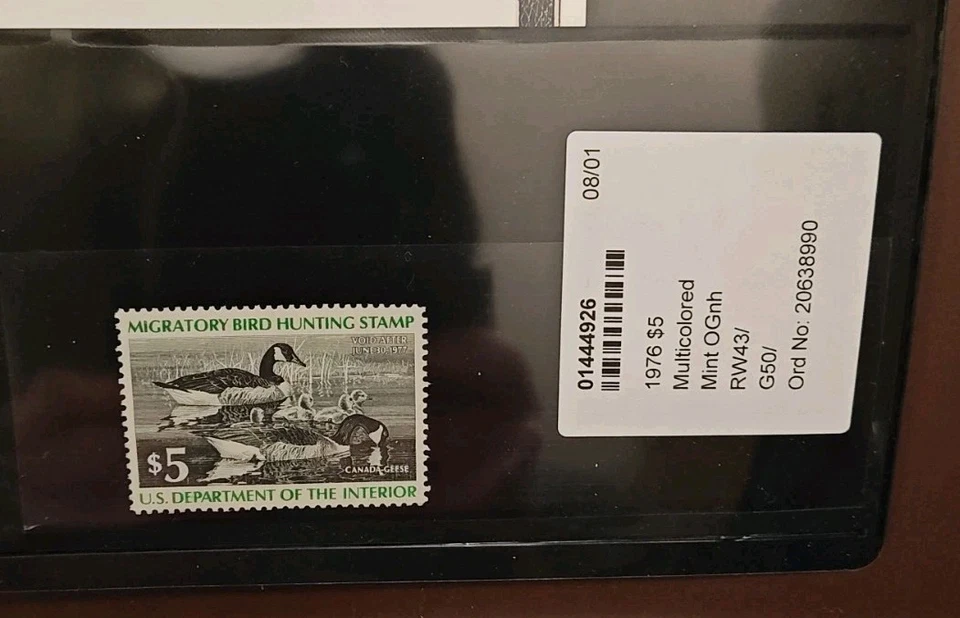 US RW43 Federal Duck Stamp - Extremely Fine, Previously Hinged -  1976 stamp - Image 3 of 4