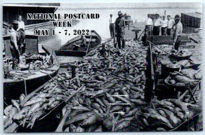 Postcard - Once a Largest Fresh-Water Fishing Port, Sandusky, Ohio, USA
