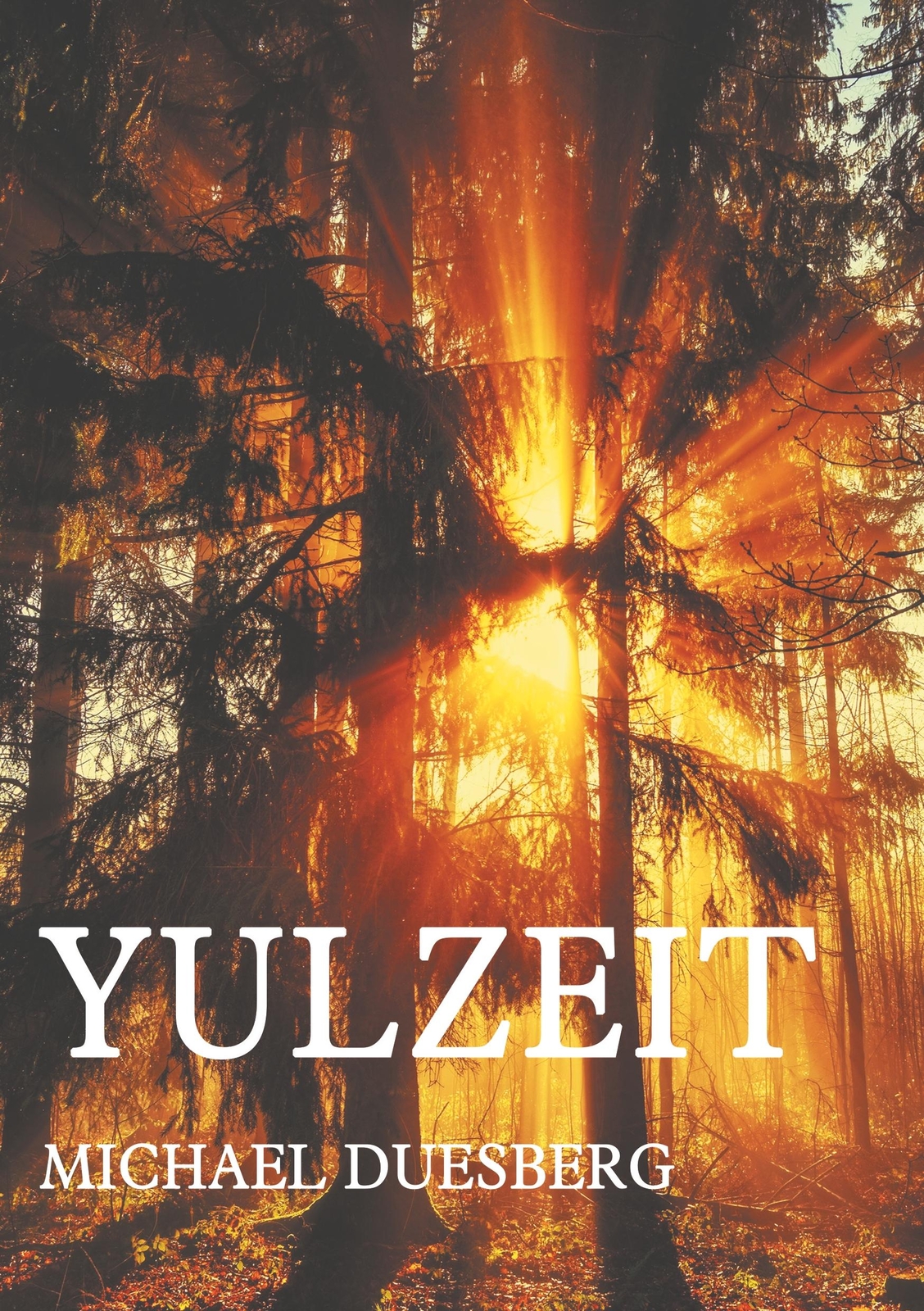 Thumbnail - Michael Duesberg / Yulzeit9783746992624