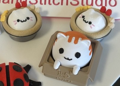 Cat in a Box or in a Tart Kitty Clickers With Satisfying Noise