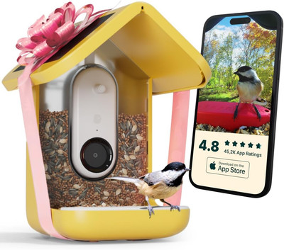 Solar Smart Bird Feeder with Camera - Ai Bird Species Identification, 5Mp Photos