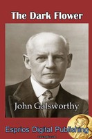 John Galsworthy | The Dark Flower | Taschenbuch | Englisch (2015) | [.]