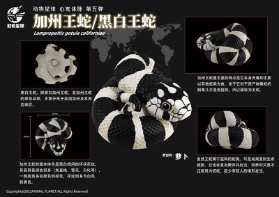 Animal Heavenly Body California Kingsnake Collectible Sanke Statue