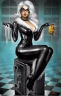 Amazing Spider-Man #25 Nathan Szerdy Black Cat Virgin Variant NM