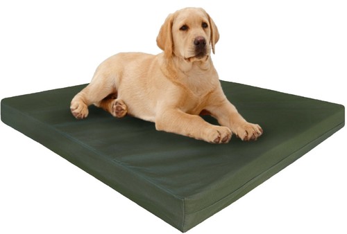 large canvas dog bed