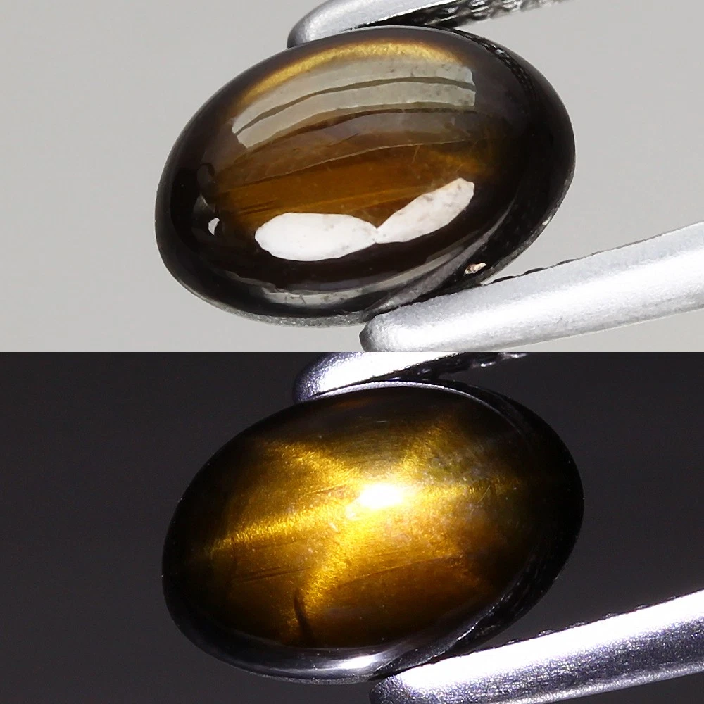 Saphir Cabochon Naturel Bleu De Thaïlande - 0.52 Carats, 4.6mm, Non Traité