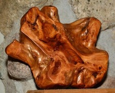 Beautiful rustic Burl slab