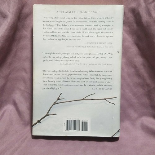 Mercy Snow by Tiffany Baker Secrets Abound 1st Edition 1st Printing - Picture 2 of 15