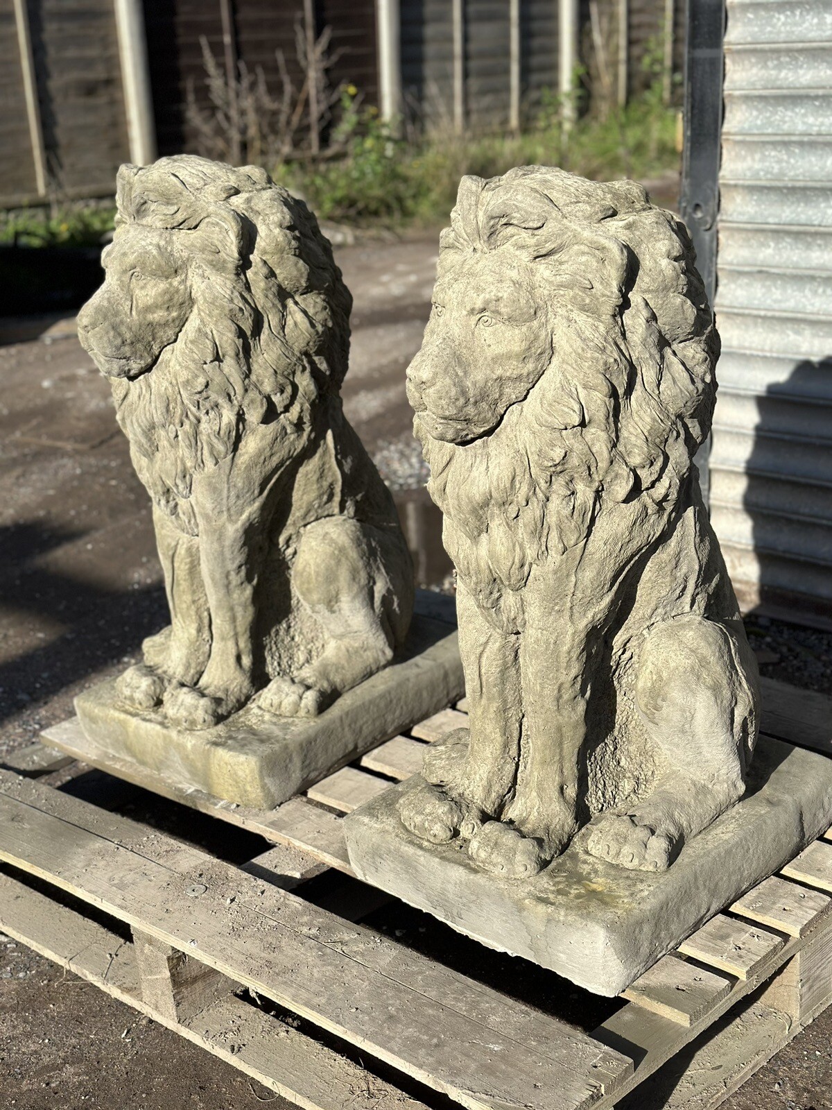 Picture 15 of 16