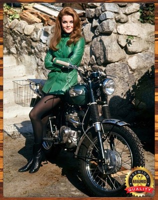 Vintage - Ann-Margret - Triumph Motorcycle - Rare - Metal Sign 11 x 14