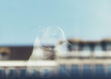 Never Replace a Gift Pet Bereavement/Sympathy Greeting Card