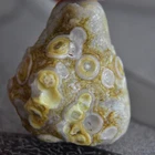 100% Natural Mongolia Gobi Agate Eyes Agate/stone Collection Specimen