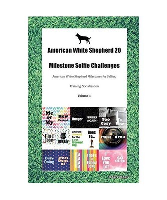 American White Shepherd 20 Milestone Selfie Challenges American White Shepherd M
