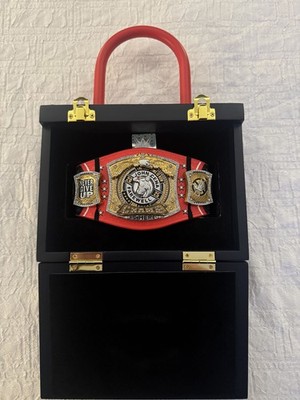 JOHN CENA Farewell Washington DC SNME Final Match MINI TITLE /1250 WWE