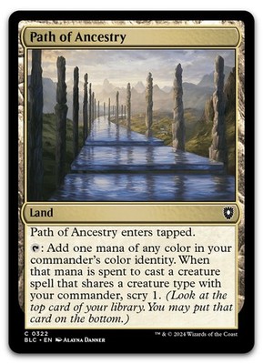 Path of Ancestry #322 (NM) Bloomburrow BLC Magic MTG