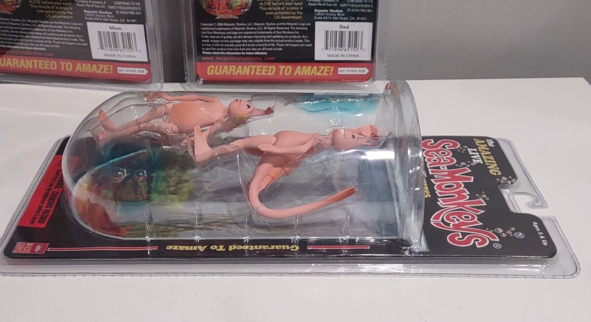 2004 SEA MONKEYS ACTION FIGURES DAD, MOM, SISTER & BROTHER 2004 SEA MONKEYS ACTION FIGURES DAD, MOM, SISTER & BROTHER
