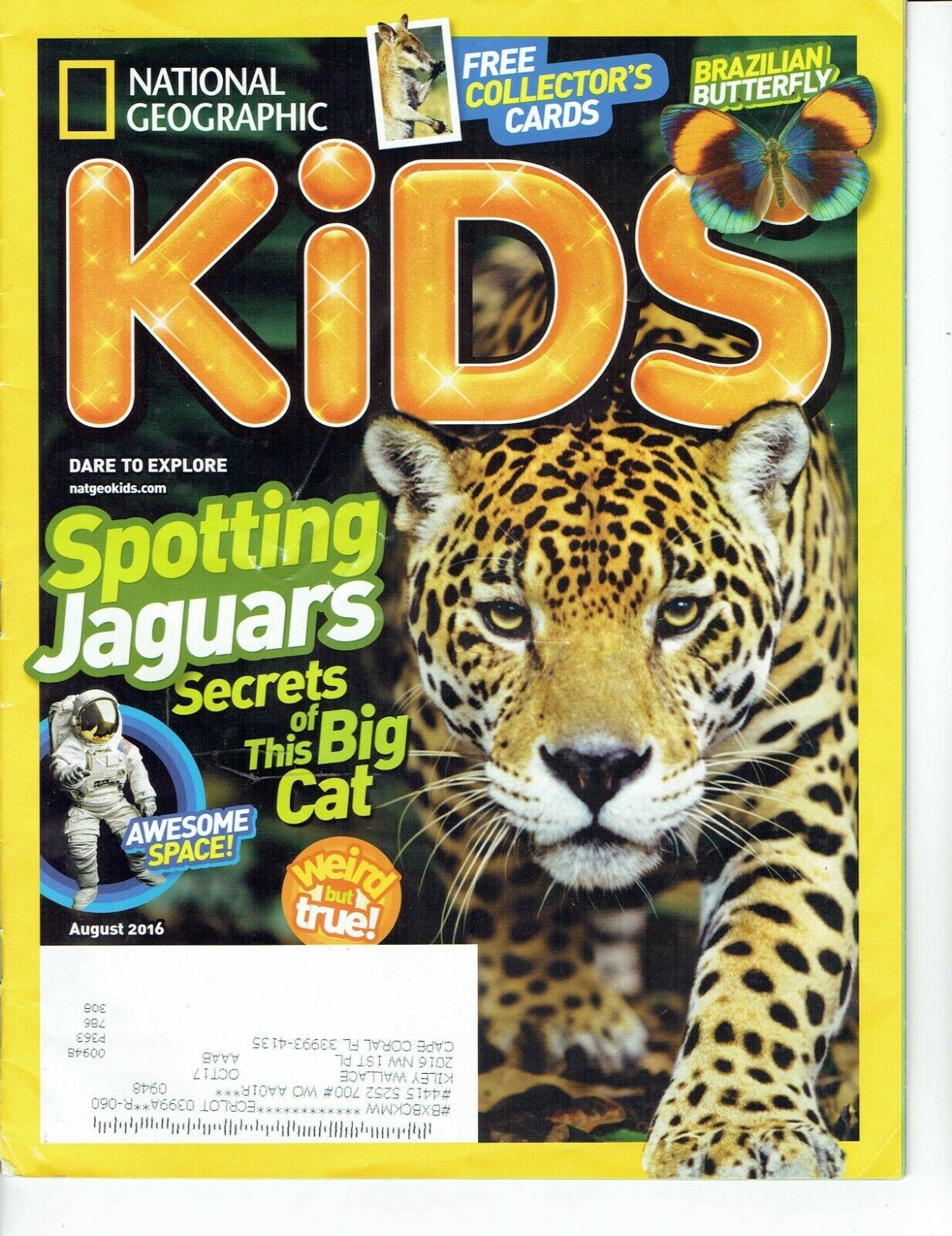 National Geographic Kids August 2016 Spotting Jaguars Animals August 2016 | eBay National Geographic Kids August 2016 Spotting Jaguars Animals August 2016 | eBay