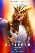 2025 Superman Poster Print 11X17 Clark Kent Lois Lane DC David Corenswet 🍿